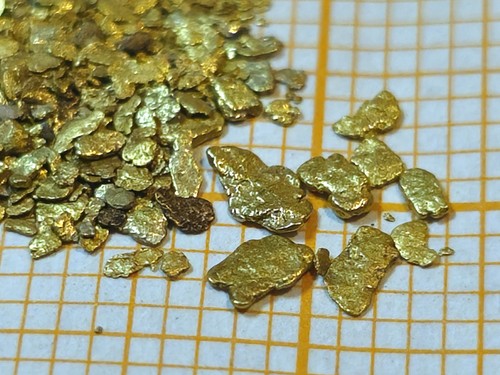 Echtes piemont gold - echtes,