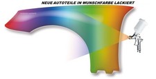 Nierenblech wunschfarbe - nierenblech, in