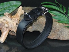 Lederhalsband 4cm x 60cm Gr.L D-Ring bei der Schnalle Malinois Schäferhund Boxer