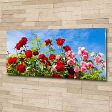 Glas bild wandbilder druck auf - druck,