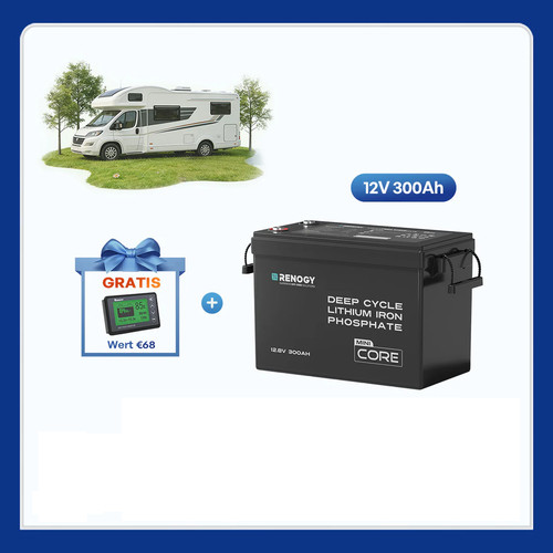 Renogy lithium batterie - renogy, 12v