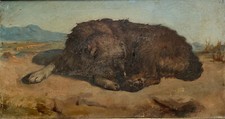 Hendricus johannes hanau - hendricus,