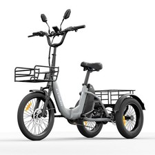 20 Zoll Elektro Dreirad 48V