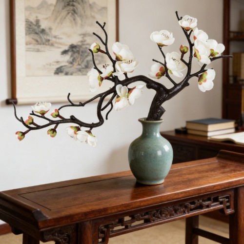 Pflaumenblüte bonsai - pflaumenblüte,
