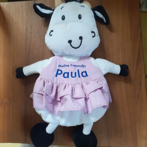 Buch meine freundin paula - buch,