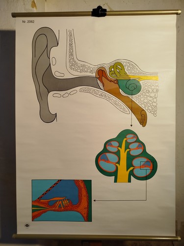 Schulwandkarte ddr rollkarte - ddr,