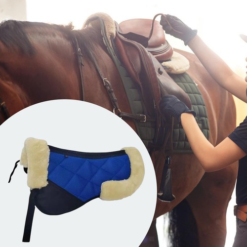 Pferd englisch schabracke - englisch,