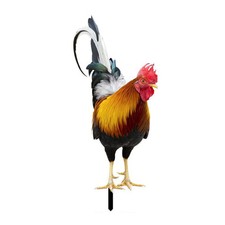 Gartenstatue Hahn-Huhn