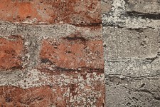 TAPETENBUCH Elements