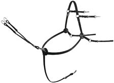 Passier Vorderzeug  " Corvus "