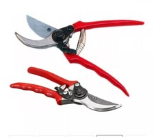 GARTENSCHERE ASTSCHERE