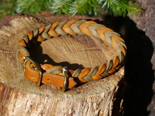 Zweifarbiges fettlederhalsband - zweifarbiges,