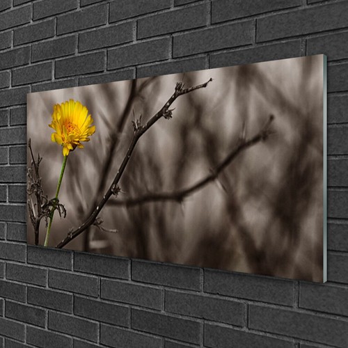 Acrylglasbilder 100x50