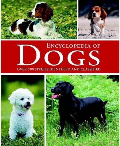 Dogs - , (animal