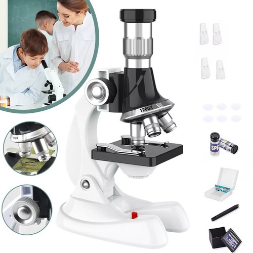 100x 600x 1200x biologisches - 1200x,