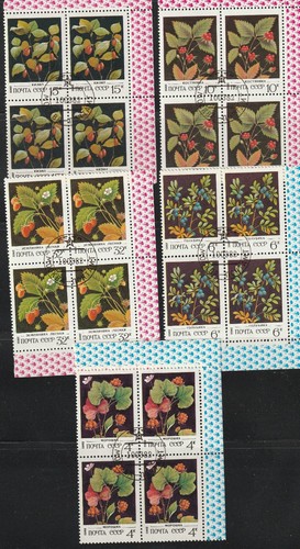 Wild berries soviet union - soviet,