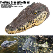 Krokodilkopf Krokodil