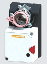 Gruner Schnellläufer