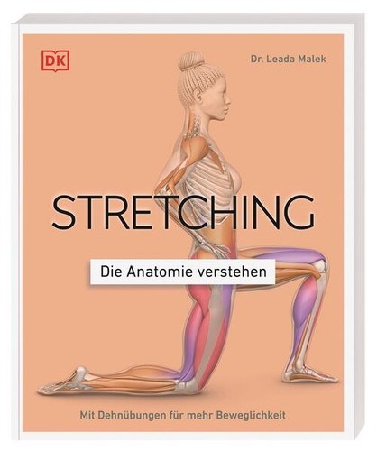 Stretching die anatomie - -,