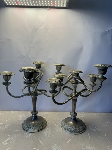 Vintage jugendstil - vintage,