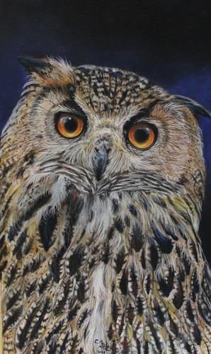 Original pastel painting owl - painting,