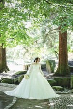 Brautkleid mit Schleier