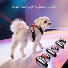 Hundegeschirr Brustgeschirr