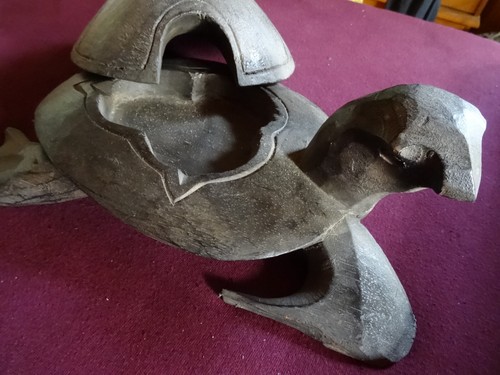 Schildkröte panzer abnehmbar - schildkröte,