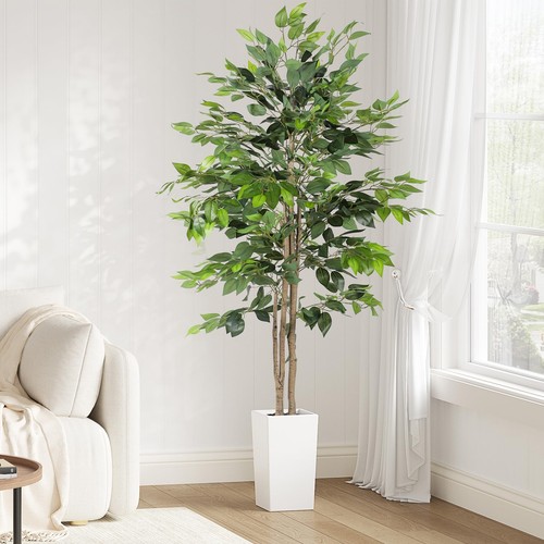 Kunstpflanze ficus benjamini - kunstpflanze,