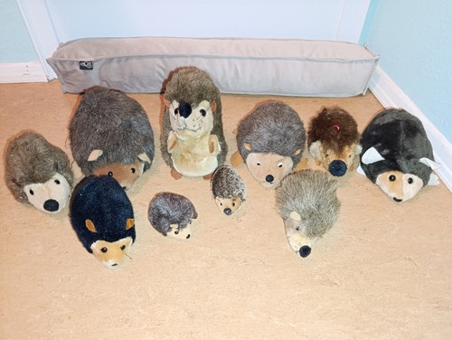 Igel sammlung konvolut x - sammlung,