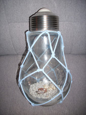 Große XL Glas Glühbirne mit Kies,Muscheln LED TOP