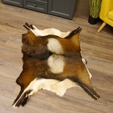 Mufflon Fell Vorleger Länge 90 cm männlich