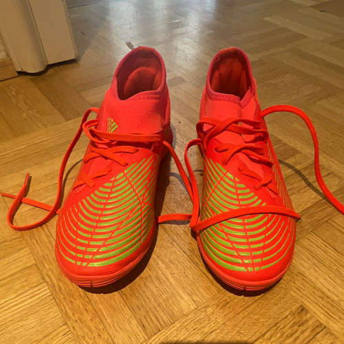 Adidas predator hallenschuhe - adidas,