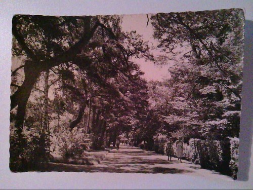 Ostseebad heringsdorf - ak.,