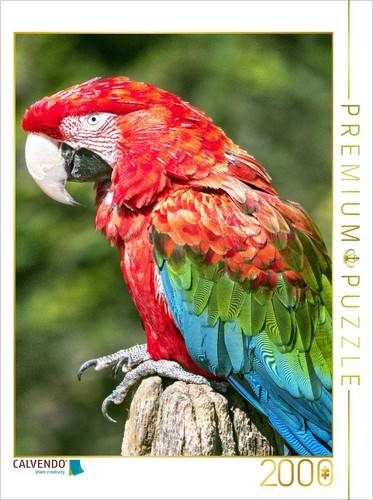 Calvendo puzzle farbenfrohe - calvendo,