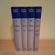 Rauber/Kopsch Anatomie des