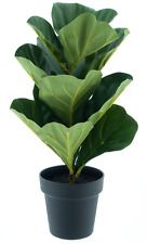 künstlicher Ficus Lyrata im