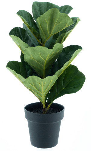 Künstlicher ficus lyrata - künstlicher,