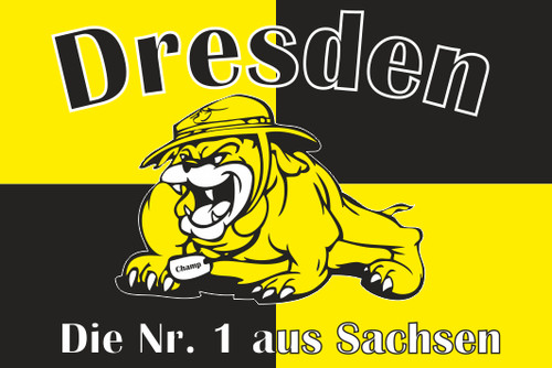 Fahne flagge dresden die - flagge,
