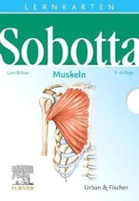 Sobotta lernkarten muskeln - sobotta,