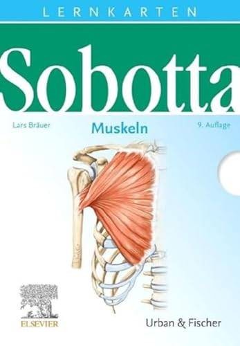 Sobotta lernkarten muskeln - lernkarten,