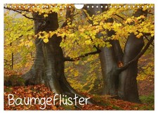 Baumgeflüster (Wandkalender