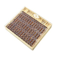 Bienenzucht-Aufzuchtbox