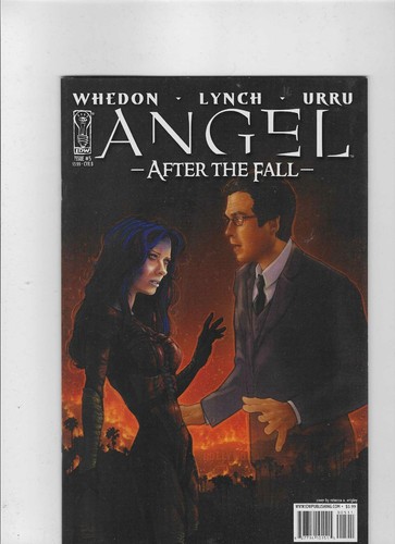 Angel after the fall cover - fall,