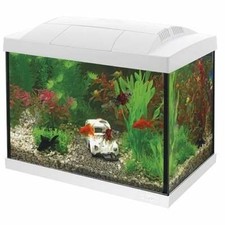 Superfish Aquarium Start 20 weiß Goldfish Kit LED 