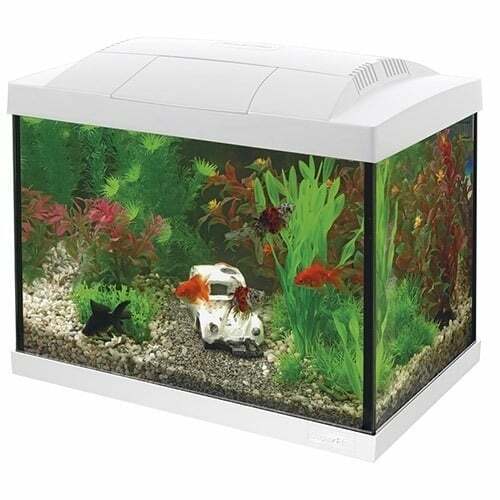 Superfish aquarium start - start, 20