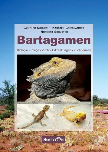 Bartagamen biologie pflege - bartagamen, |