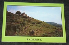 Radebeul b. Dresden * Spitzhaus über Meinholds Weinberg* Postkarte AK ungelaufen