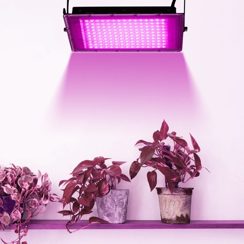 50w 300w pflanzenlampe led - pflanzenlampe,