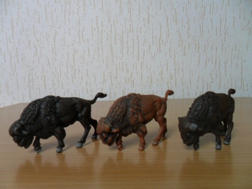 Bison plaho ddr - plaho, /